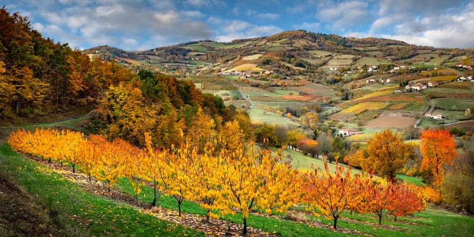 Nondidju, j’aurais dû prendre ma gouache et mes pinceaux ! – ©Christian Bovet