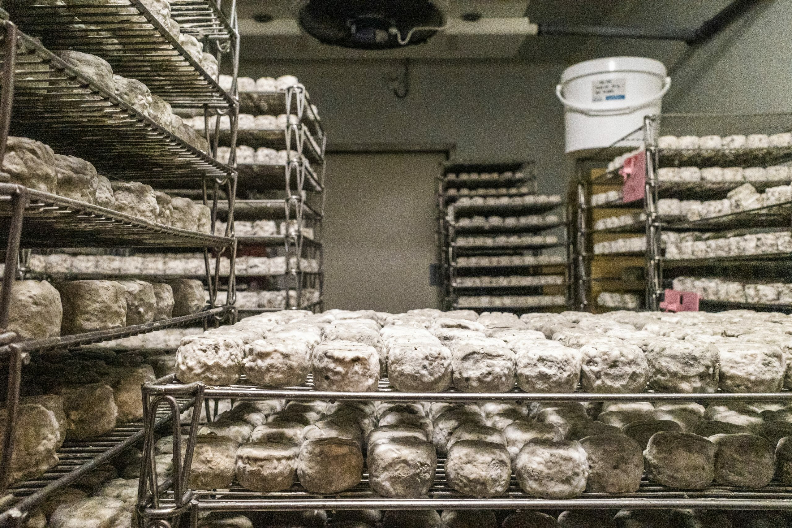 Crottin de Chavignol AOC, enchanté ! – © Sophie Gateau