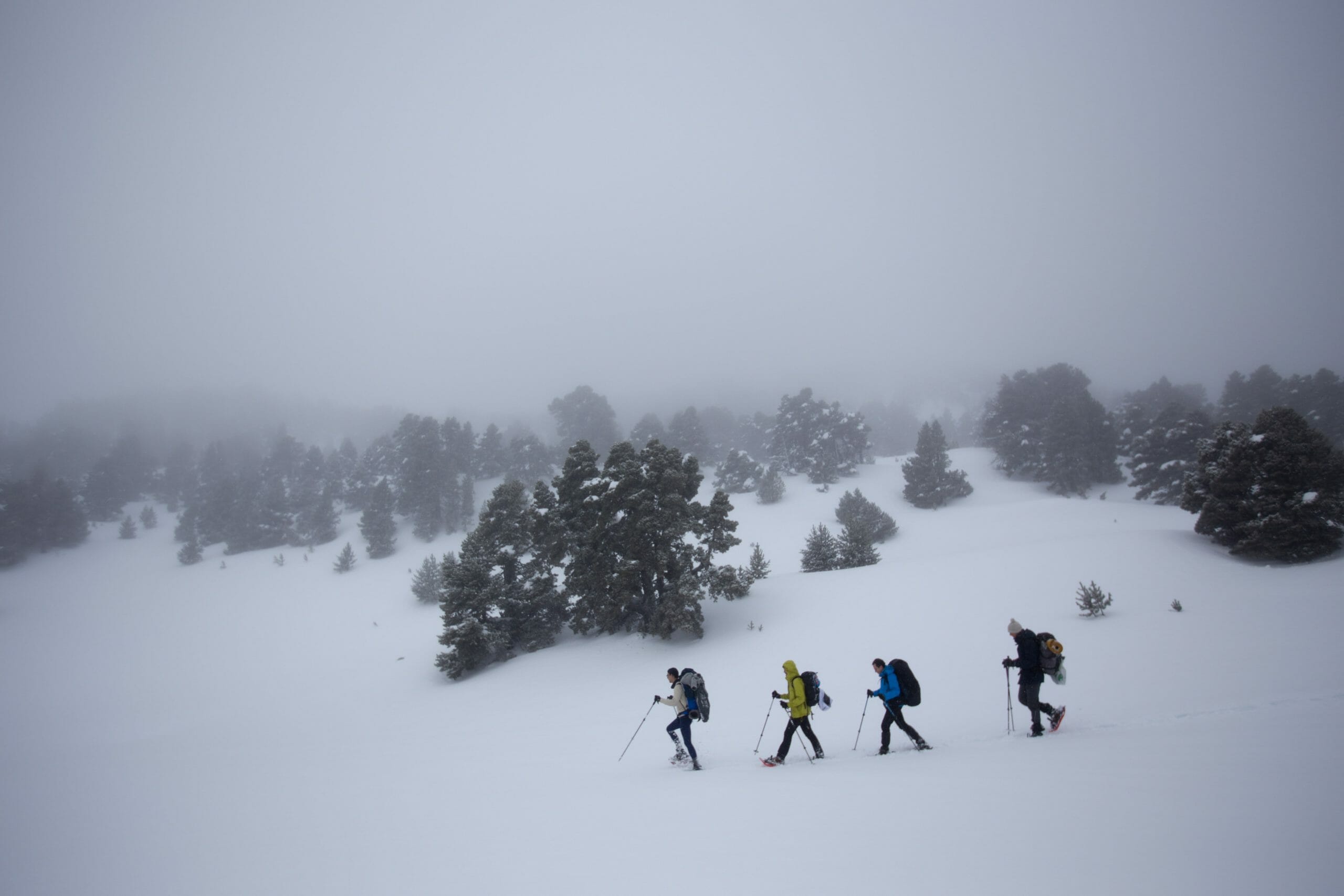 À la queue leu leu ! – © Matthieu Tordeur
