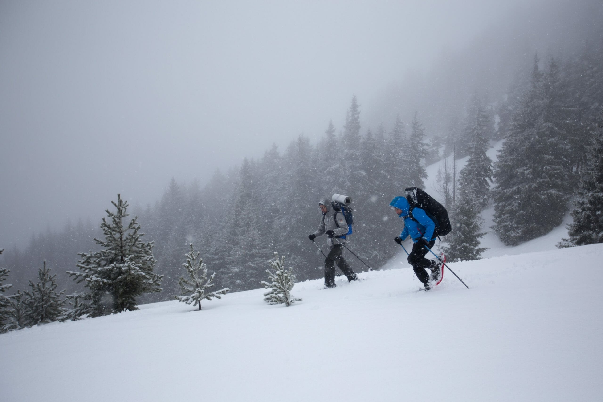 On fait la course ? – © Matthieu Tordeur