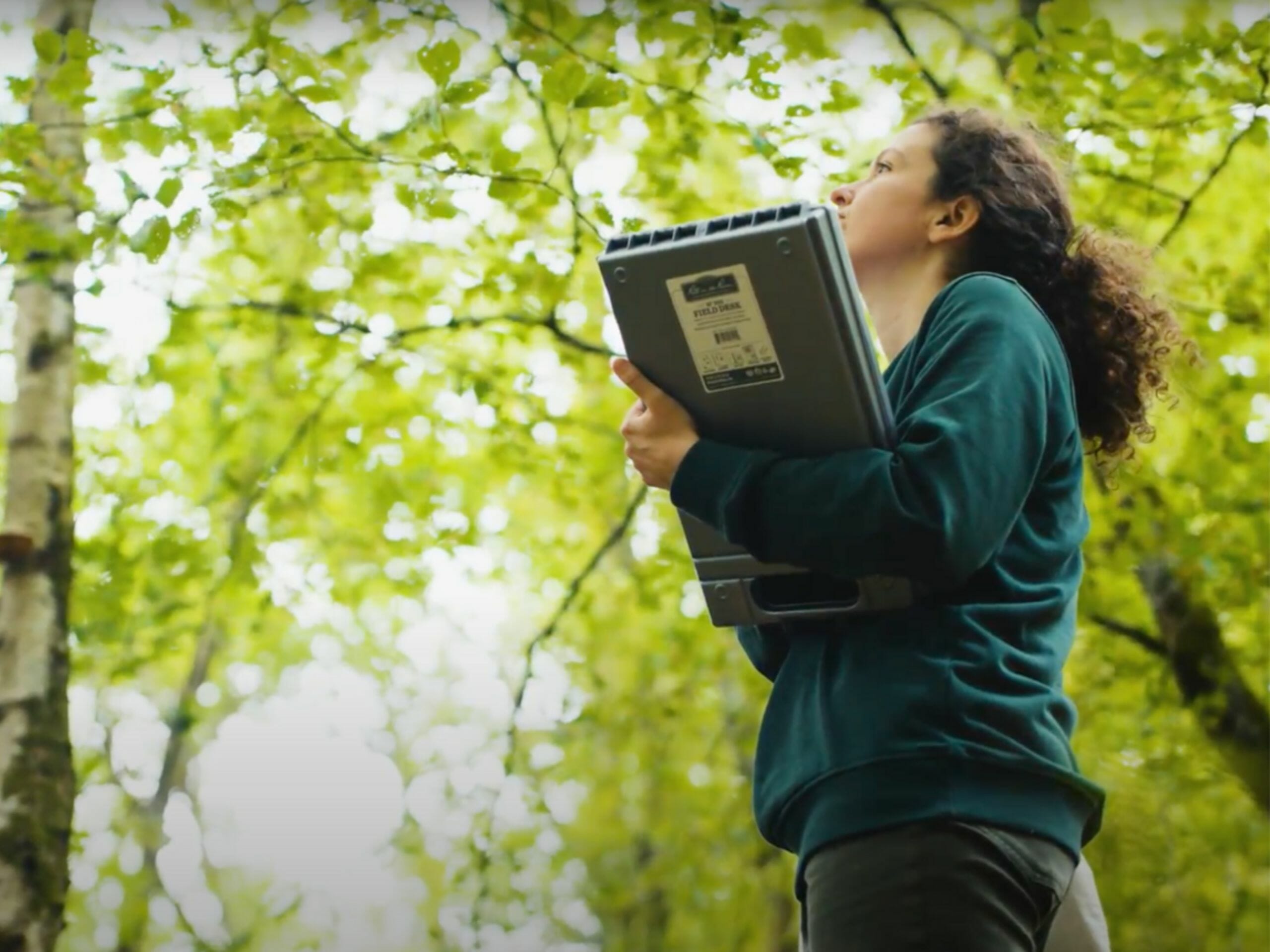 La forêt passée au rayon X – © EcoTree