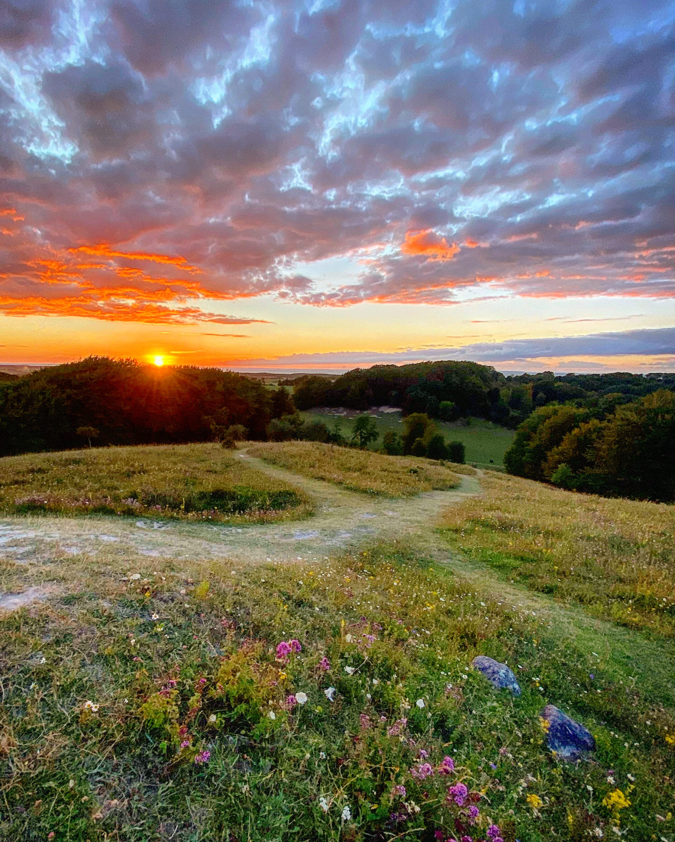 Prairie avec un soleil couchant